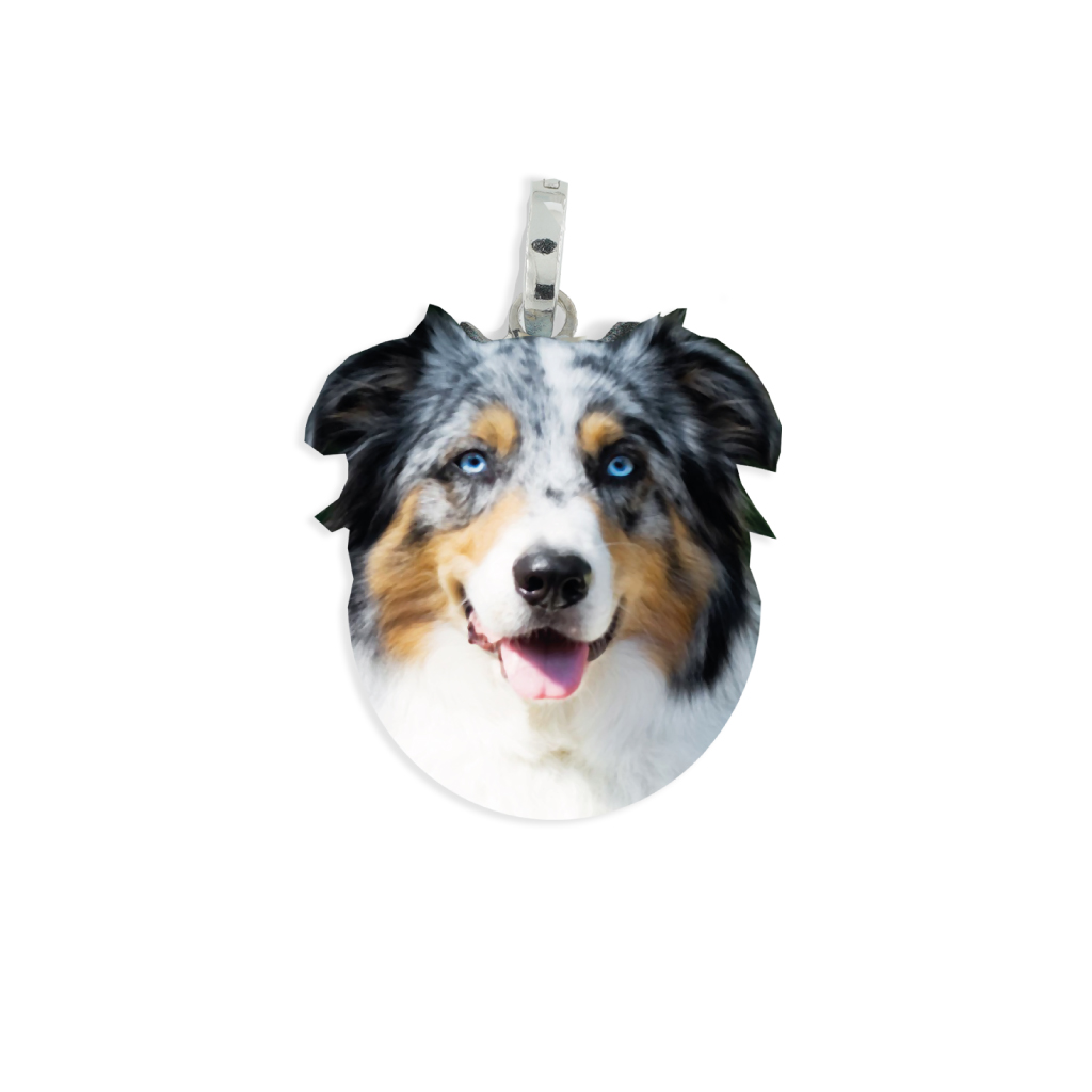 Ciondolo in Argento Razza Cane Australian Shepherd.